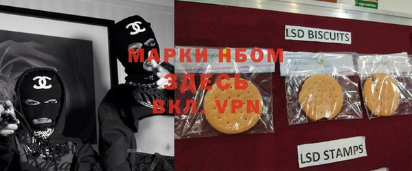 ГАЛЛЮЦИНОГЕННЫЕ ГРИБЫ Магас